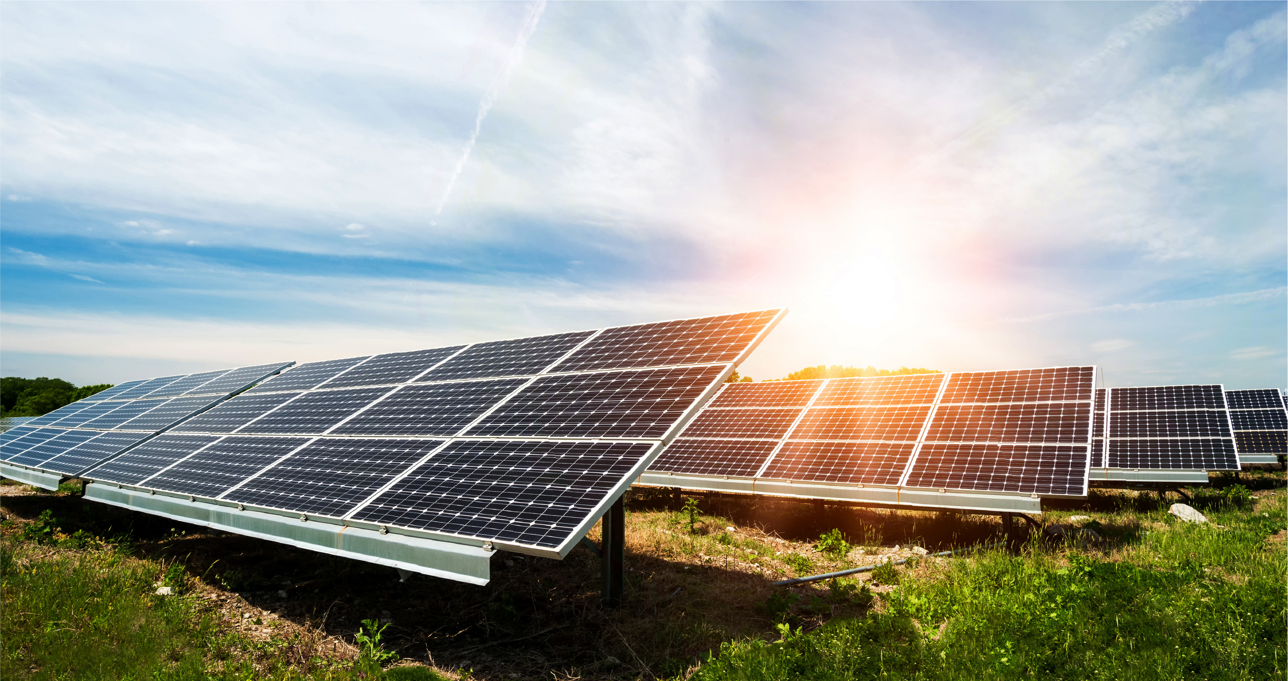 Sustainability